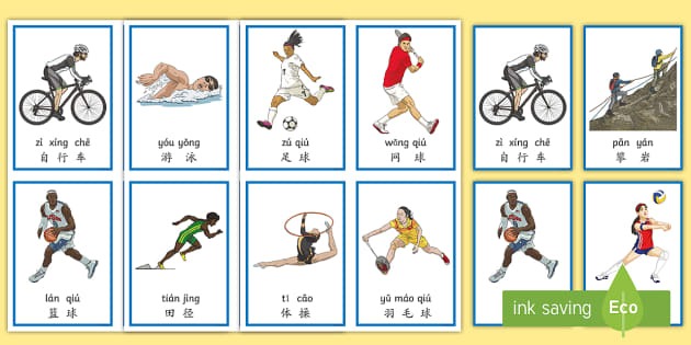 棒球与地缘政治：解析古巴球员背景调查的特殊流程与法律框架