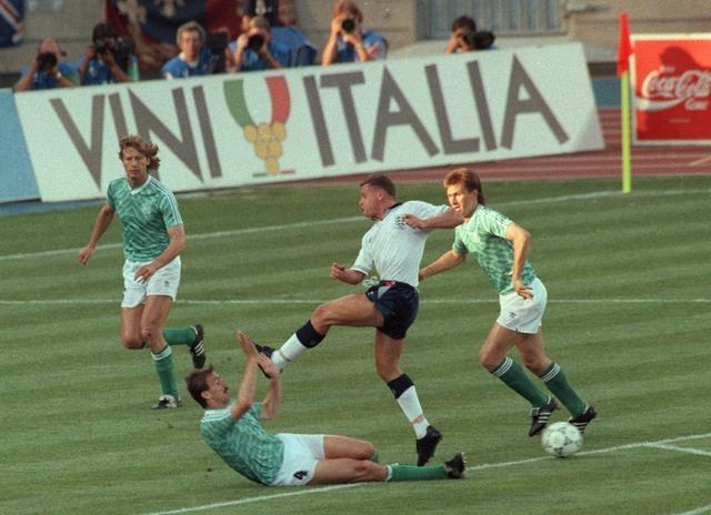 夏洛特黄蜂 夏洛特黄蜂